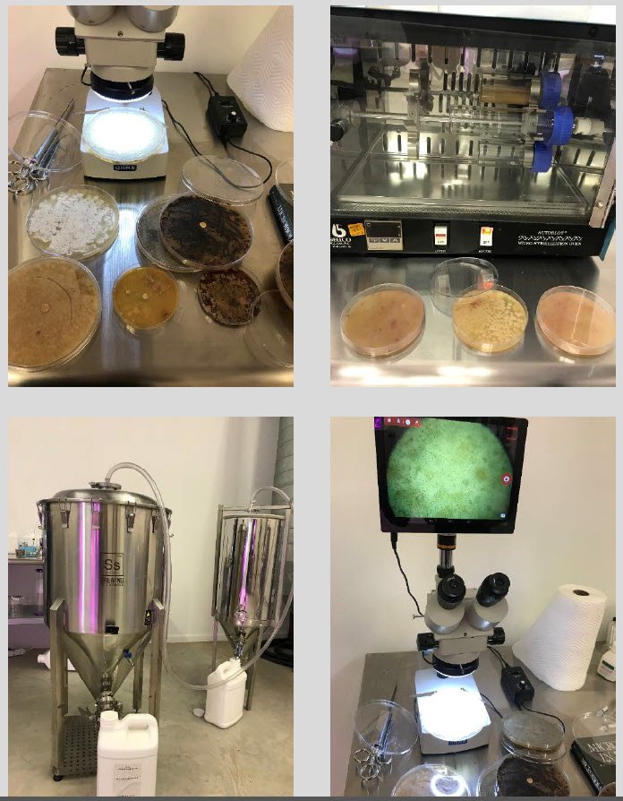 Microbebio-Trial Test Houston Texas